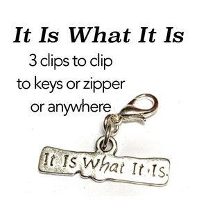 3 Zipper Clips • IT IS WHAT IT IS